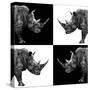 Safari Profile Collection - Rhinos II-Philippe Hugonnard-Stretched Canvas