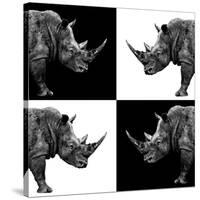 Safari Profile Collection - Rhinos II-Philippe Hugonnard-Stretched Canvas