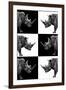 Safari Profile Collection - Rhinos-Philippe Hugonnard-Framed Photographic Print