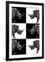 Safari Profile Collection - Rhinos-Philippe Hugonnard-Framed Photographic Print