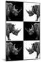 Safari Profile Collection - Rhinos-Philippe Hugonnard-Mounted Photographic Print