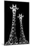 Safari Profile Collection - Two Giraffes Black Edition II-Philippe Hugonnard-Mounted Photographic Print