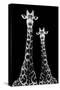Safari Profile Collection - Two Giraffes Black Edition II-Philippe Hugonnard-Stretched Canvas