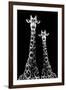 Safari Profile Collection - Two Giraffes Black Edition II-Philippe Hugonnard-Framed Photographic Print