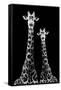 Safari Profile Collection - Two Giraffes Black Edition II-Philippe Hugonnard-Framed Stretched Canvas