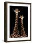 Safari Profile Collection - Two Giraffes Black Edition-Philippe Hugonnard-Framed Photographic Print