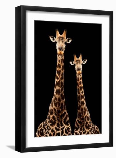 Safari Profile Collection - Two Giraffes Black Edition-Philippe Hugonnard-Framed Photographic Print