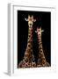 Safari Profile Collection - Two Giraffes Black Edition-Philippe Hugonnard-Framed Photographic Print