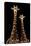Safari Profile Collection - Two Giraffes Black Edition-Philippe Hugonnard-Stretched Canvas