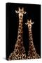 Safari Profile Collection - Two Giraffes Black Edition-Philippe Hugonnard-Stretched Canvas