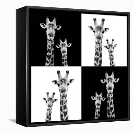Safari Profile Collection - Two Giraffes II-Philippe Hugonnard-Framed Stretched Canvas