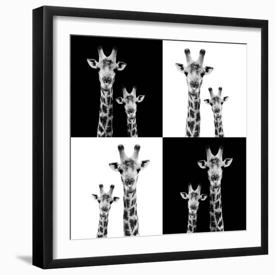 Safari Profile Collection - Two Giraffes II-Philippe Hugonnard-Framed Photographic Print