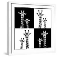 Safari Profile Collection - Two Giraffes II-Philippe Hugonnard-Framed Photographic Print