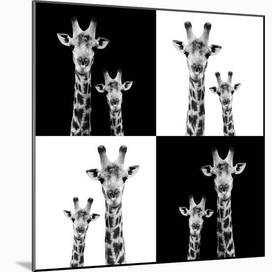 Safari Profile Collection - Two Giraffes II-Philippe Hugonnard-Mounted Photographic Print