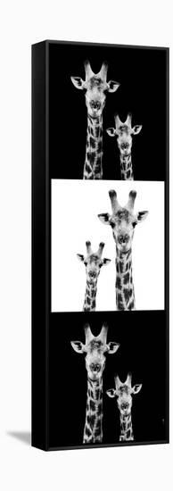 Safari Profile Collection - Two Giraffes III-Philippe Hugonnard-Framed Stretched Canvas