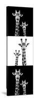 Safari Profile Collection - Two Giraffes III-Philippe Hugonnard-Stretched Canvas