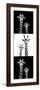 Safari Profile Collection - Two Giraffes III-Philippe Hugonnard-Framed Photographic Print