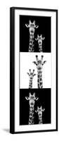 Safari Profile Collection - Two Giraffes III-Philippe Hugonnard-Framed Photographic Print