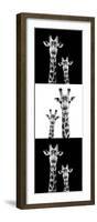 Safari Profile Collection - Two Giraffes III-Philippe Hugonnard-Framed Photographic Print