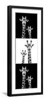 Safari Profile Collection - Two Giraffes III-Philippe Hugonnard-Framed Photographic Print