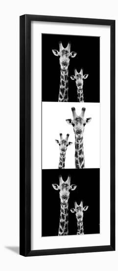 Safari Profile Collection - Two Giraffes III-Philippe Hugonnard-Framed Photographic Print