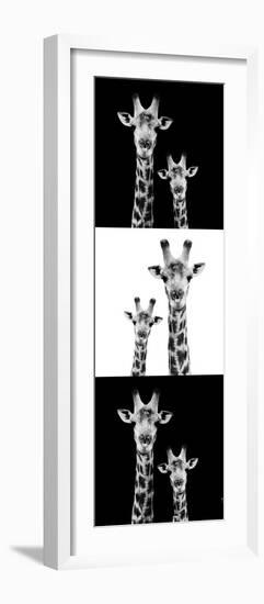 Safari Profile Collection - Two Giraffes III-Philippe Hugonnard-Framed Photographic Print