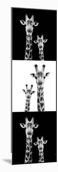 Safari Profile Collection - Two Giraffes III-Philippe Hugonnard-Mounted Photographic Print