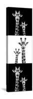 Safari Profile Collection - Two Giraffes III-Philippe Hugonnard-Stretched Canvas