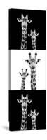 Safari Profile Collection - Two Giraffes III-Philippe Hugonnard-Stretched Canvas