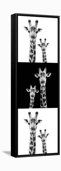 Safari Profile Collection - Two Giraffes IV-Philippe Hugonnard-Framed Stretched Canvas
