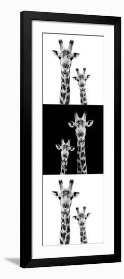 Safari Profile Collection - Two Giraffes IV-Philippe Hugonnard-Framed Photographic Print