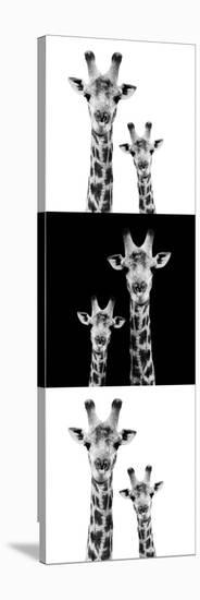 Safari Profile Collection - Two Giraffes IV-Philippe Hugonnard-Stretched Canvas