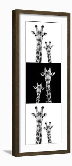 Safari Profile Collection - Two Giraffes IV-Philippe Hugonnard-Framed Photographic Print