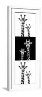 Safari Profile Collection - Two Giraffes IV-Philippe Hugonnard-Framed Photographic Print