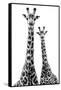 Safari Profile Collection - Two Giraffes White Edition II-Philippe Hugonnard-Framed Stretched Canvas