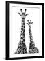 Safari Profile Collection - Two Giraffes White Edition II-Philippe Hugonnard-Framed Photographic Print