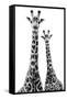 Safari Profile Collection - Two Giraffes White Edition II-Philippe Hugonnard-Framed Stretched Canvas