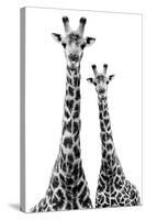 Safari Profile Collection - Two Giraffes White Edition II-Philippe Hugonnard-Stretched Canvas