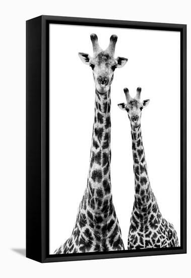 Safari Profile Collection - Two Giraffes White Edition II-Philippe Hugonnard-Framed Stretched Canvas