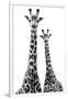 Safari Profile Collection - Two Giraffes White Edition II-Philippe Hugonnard-Framed Photographic Print