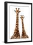 Safari Profile Collection - Two Giraffes White Edition-Philippe Hugonnard-Framed Photographic Print