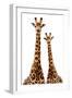 Safari Profile Collection - Two Giraffes White Edition-Philippe Hugonnard-Framed Photographic Print