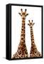 Safari Profile Collection - Two Giraffes White Edition-Philippe Hugonnard-Framed Stretched Canvas
