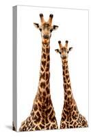 Safari Profile Collection - Two Giraffes White Edition-Philippe Hugonnard-Stretched Canvas