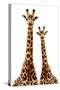 Safari Profile Collection - Two Giraffes White Edition-Philippe Hugonnard-Stretched Canvas