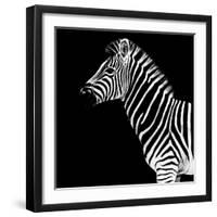 Safari Profile Collection - Zebra Black Edition II-Philippe Hugonnard-Framed Photographic Print