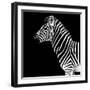 Safari Profile Collection - Zebra Black Edition II-Philippe Hugonnard-Framed Photographic Print