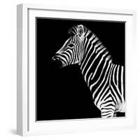 Safari Profile Collection - Zebra Black Edition II-Philippe Hugonnard-Framed Photographic Print