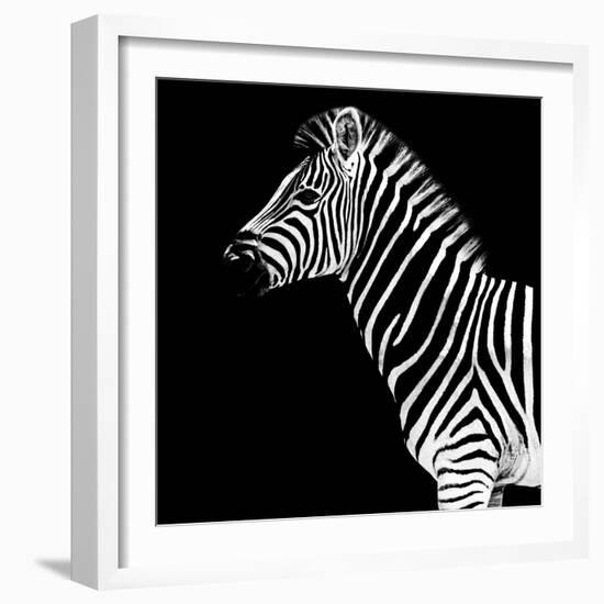 Safari Profile Collection - Zebra Black Edition II-Philippe Hugonnard-Framed Photographic Print