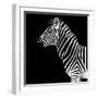 Safari Profile Collection - Zebra Black Edition II-Philippe Hugonnard-Framed Photographic Print